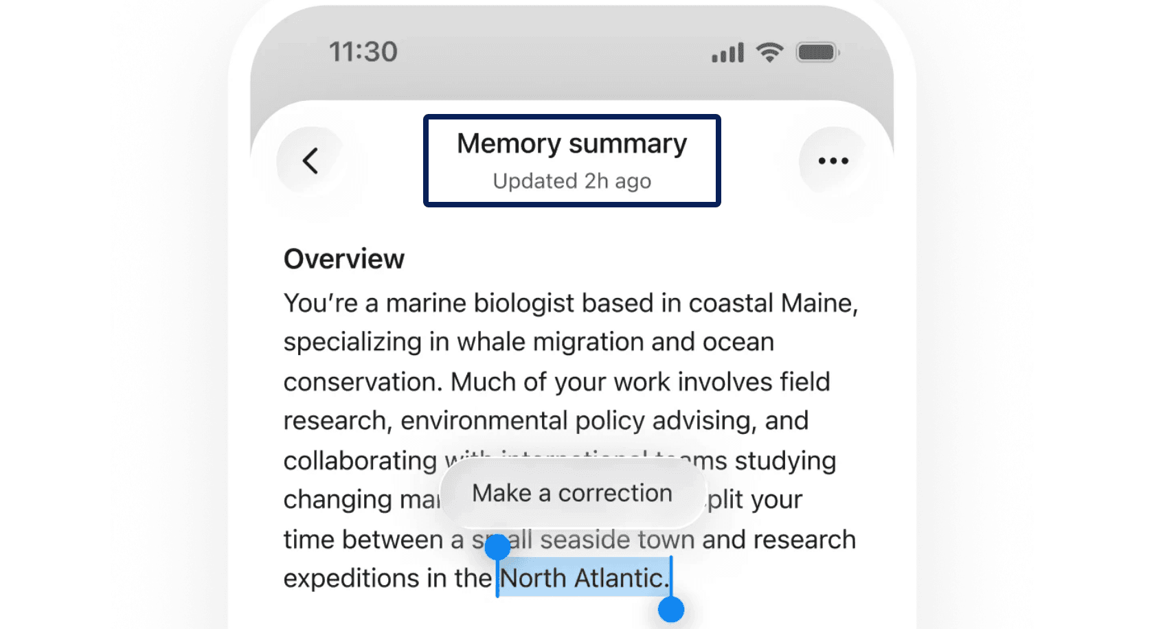 Screenshot of a ChatGPT memory summary with a selected phrase and Make a correction control.