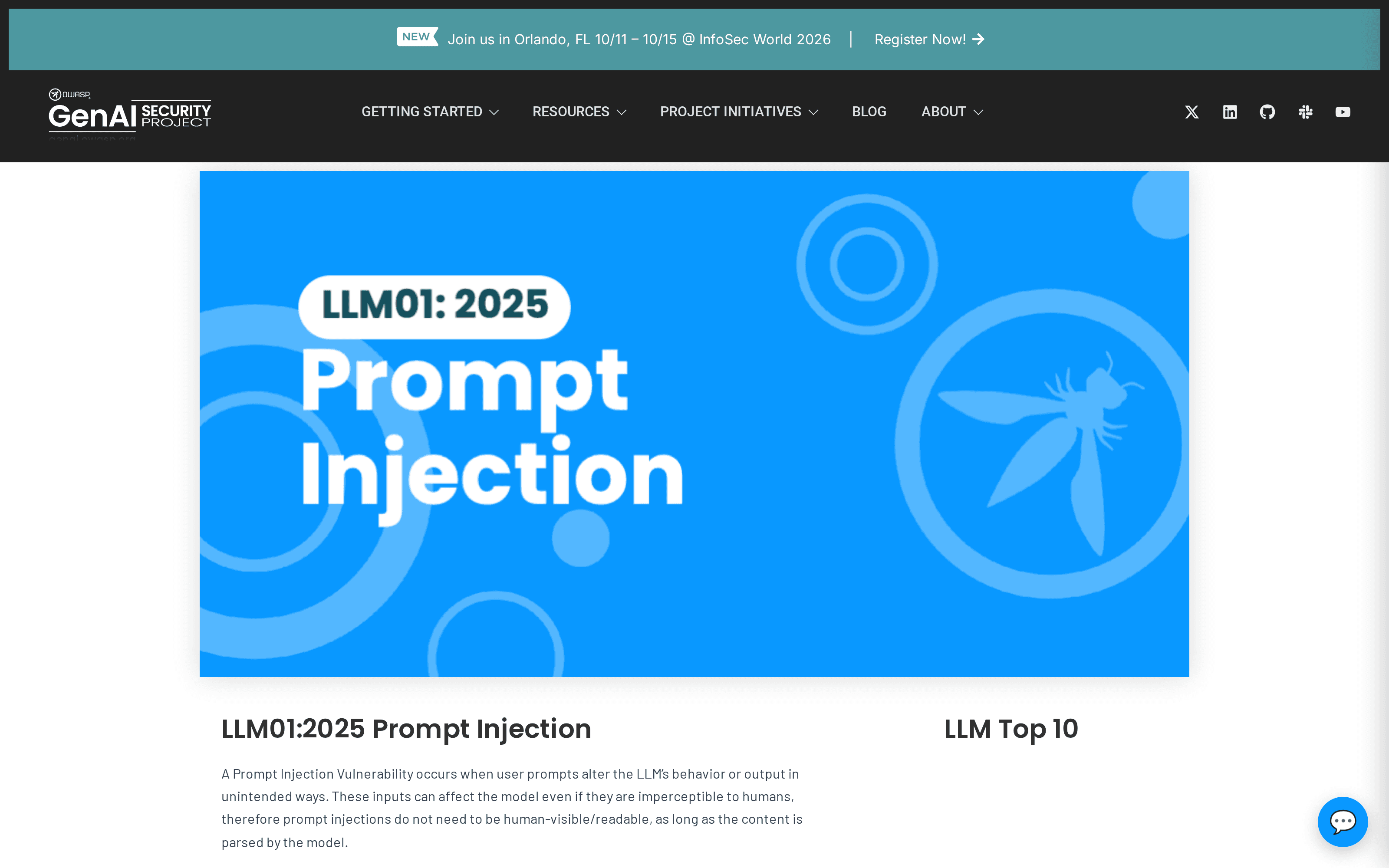OWASP's public LLM01:2025 Prompt Injection guidance, captured from its official page.