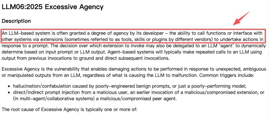 OWASP LLM Top 10 entry on excessive agency risk in tool-using AI systems